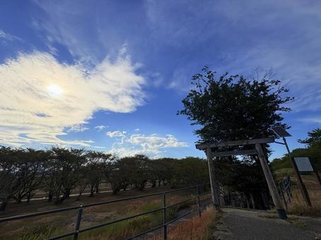 鳥居と青空 鳥居と青空 鳥居,青空,神社の写真素材