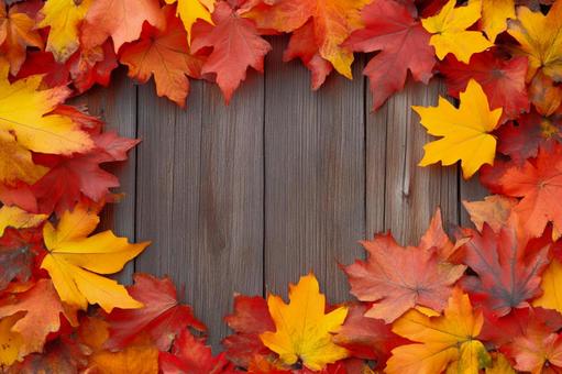 秋のフレーム背景素材(紅葉・カエデ) 秋のフレーム背景素材(紅葉・カエデ)の写真