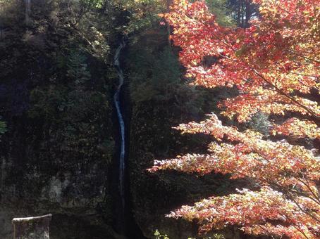 紅葉と滝 紅葉と滝の写真