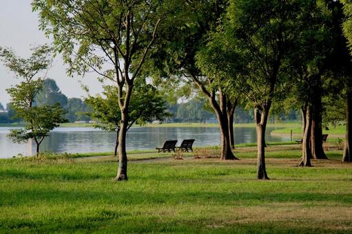 水元公園 公園,自然,池の写真素材