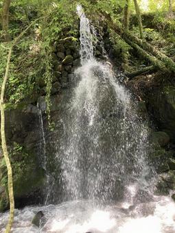 湯河原の小さな滝 湯河原の小さな滝の写真