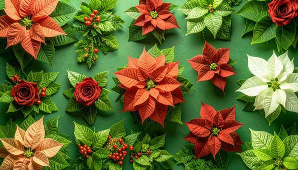 12月誕生花 ポインセチア、赤いバラ 12月誕生花 ポインセチア、赤いバラの写真