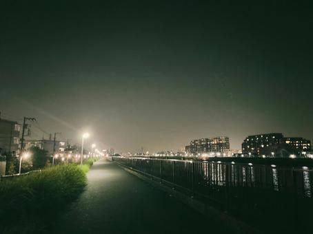 夜景 散歩道 夜景 散歩道の写真