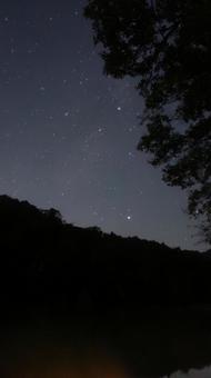 森影に浮かぶはくちょう座の夜 森影に浮かぶはくちょう座の夜の写真