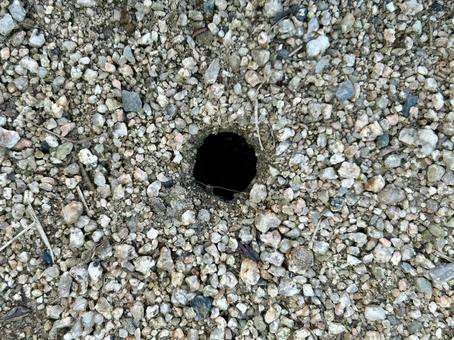 地面の穴 地面の穴の写真
