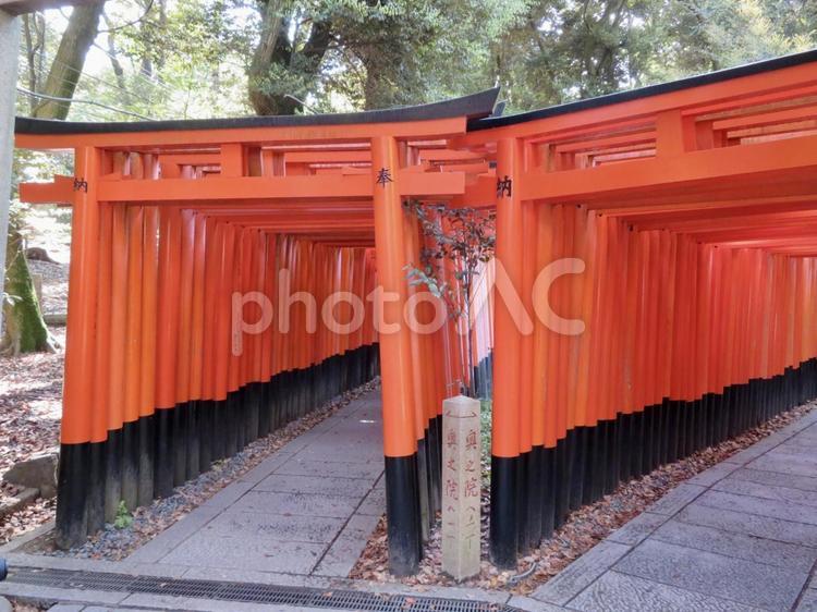 伏見稲荷大社 伏見稲荷大社,神社,稲荷の写真素材