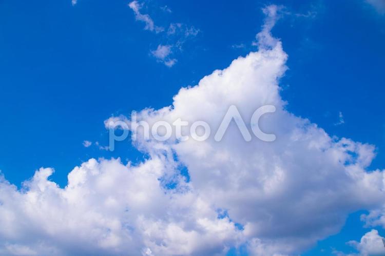 紀ノ川の空、10月撮影 空,青空,大空の写真素材