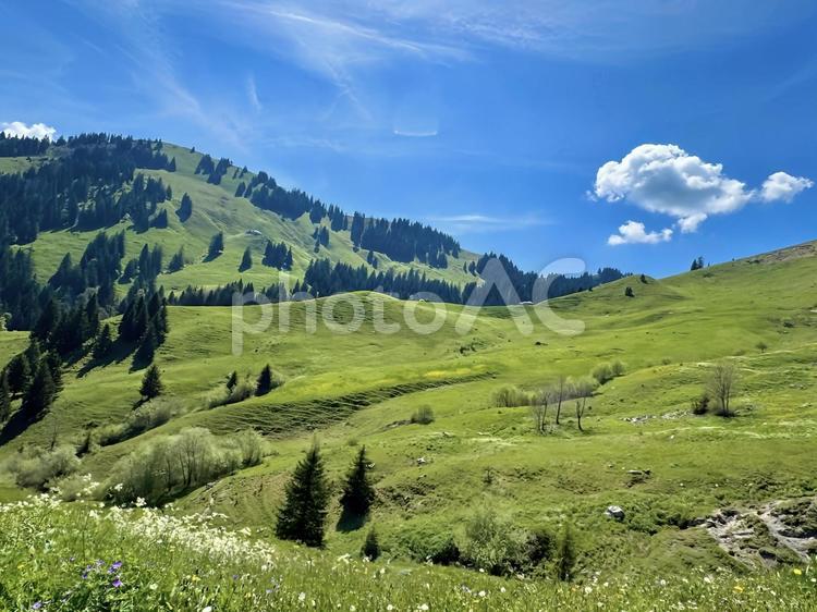 初夏の草原と青空 自然,風景,山の写真素材