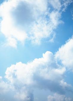 初夏の朝 青空 初夏の朝 青空の写真