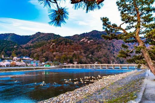 京都　渡月橋 風景,青空,自然の写真素材