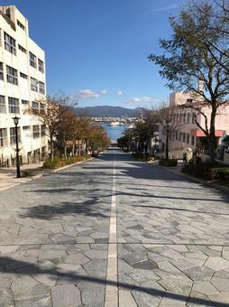 函館 八幡坂 縦型 函館 八幡坂 縦型 八幡坂,函館,北海道の写真素材