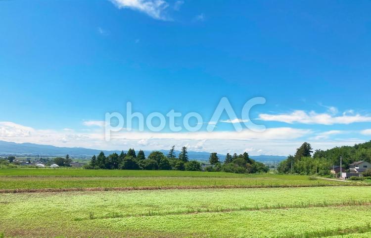 田舎風景 夏,晴れ,快晴の写真素材