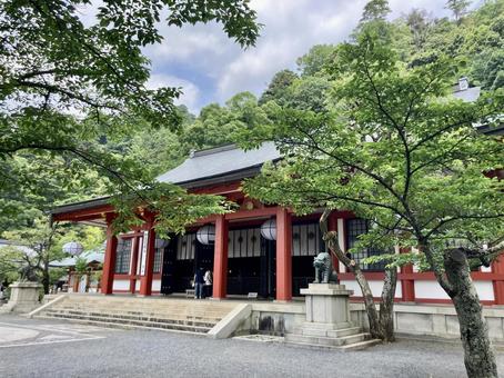 鞍馬寺 金堂 鞍馬寺 金堂の写真