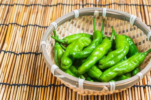 Fresh shishito peppers in a bamboo basket, JPG