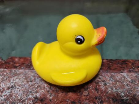 お風呂のアヒルの写真