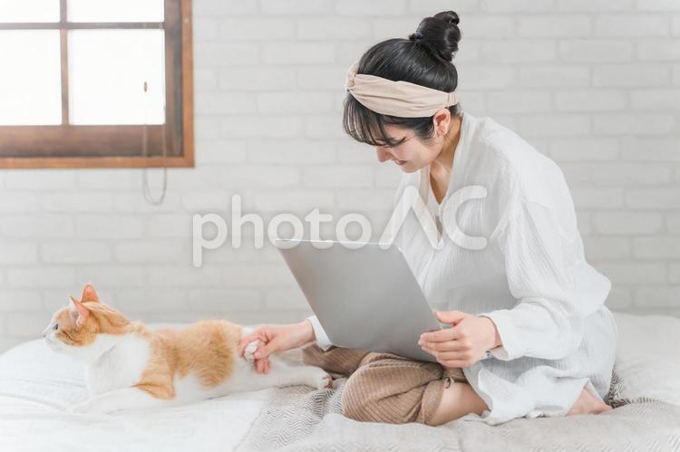 家で猫と一緒にテレワークする女性 猫,パソコン,女性の写真素材
