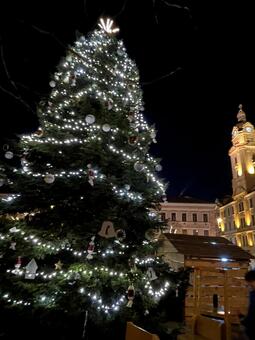 夜空にそびえたつクリスマスツリー クリスマスツリー,クリスマス,ライトアップの写真素材