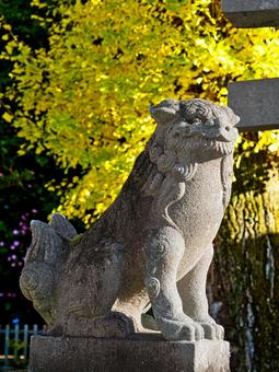 狛犬と銀杏 狛犬,いちょう,銀杏の写真素材