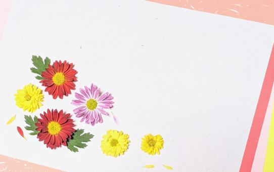 和紙と花のフレーム 花,フレーム,和紙の写真素材