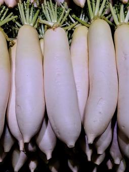 冬が旬の大根 冬大根,だいこん,おでんの写真素材