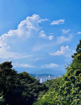 夏に囲まれて 夏に囲まれての写真
