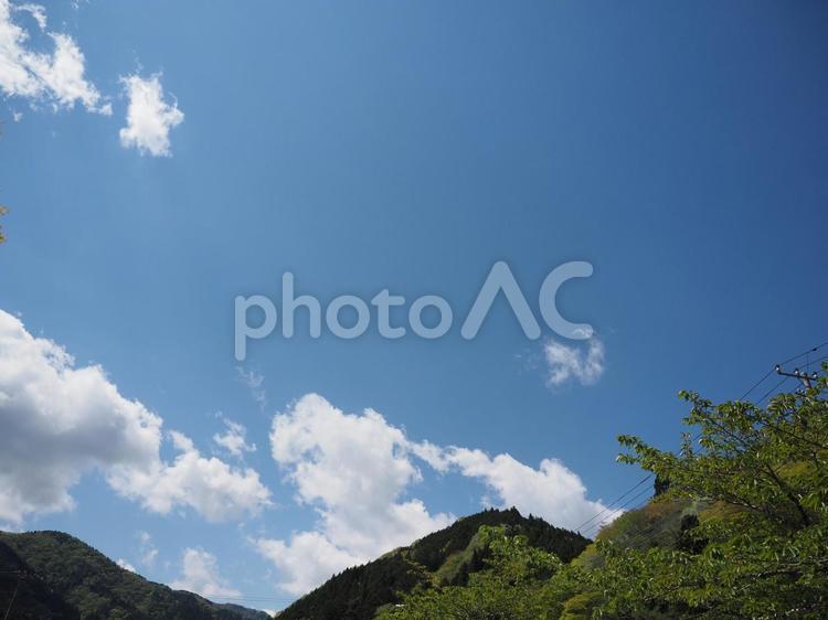 青空と緑　春・夏のイメージ 空,そら,青空の写真素材