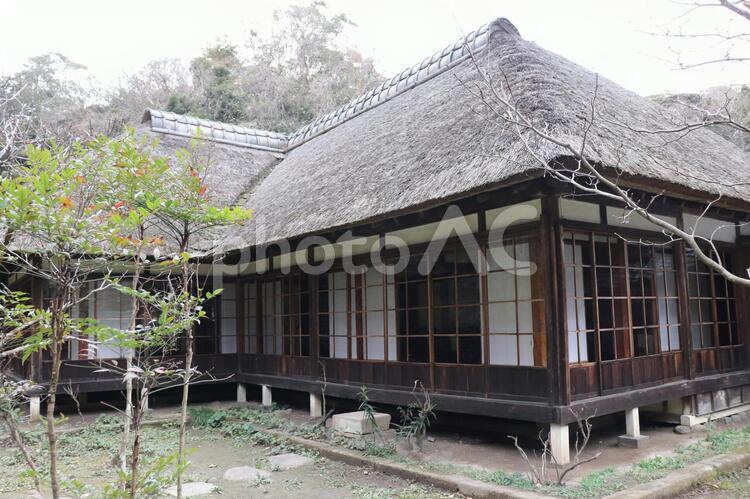 浄智寺の風景 浄智寺,鎌倉,寺院の写真素材