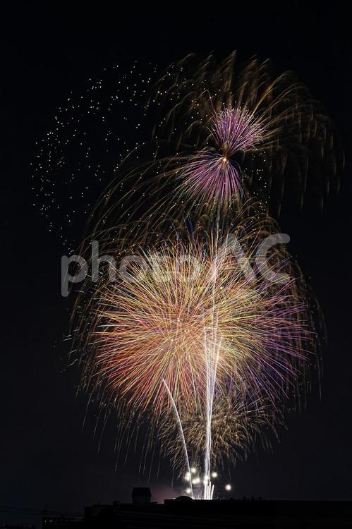 打ち上げ花火 打上げ花火,夏祭り,花火大会の写真素材
