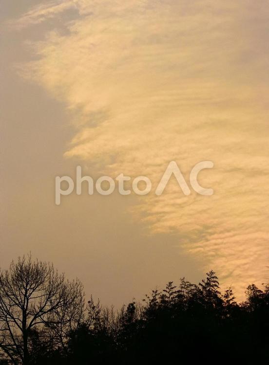 夕焼けとウロコ雲ー２ あかねぞら,いわし雲,うろこ雲の写真素材