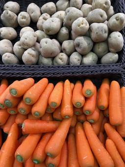 人参とジャガイモ 人参とジャガイモ 人参,ジャガイモ,野菜の写真素材