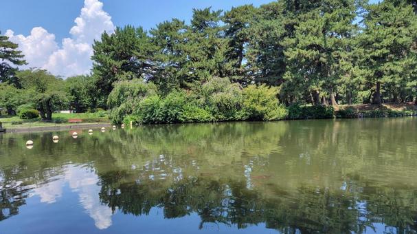 公園の池 公園の池の写真