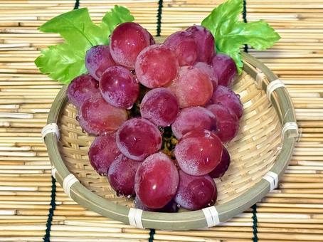 ジューシーなぶどう ジューシーなぶどう 秋,秋の味覚,ぶどうの写真素材