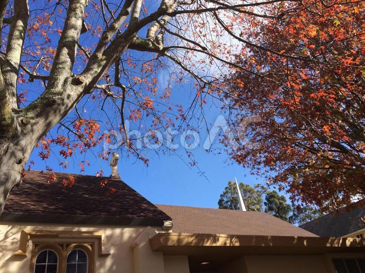 アメリカ　カリフォルニア　サンフランシスコ　教会　風景 アメリカ,カリフォルニア,サンフランシスコの写真素材