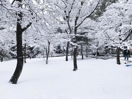 金閣寺の雪景色 金閣寺の雪景色の写真