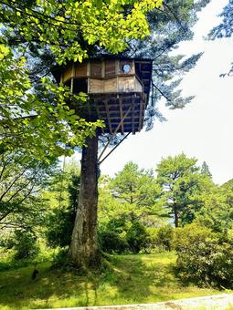 日本の秘境 十津川村 ツリーハウス 日本の秘境 十津川村 ツリーハウス 十津川村,自然,森林の写真素材