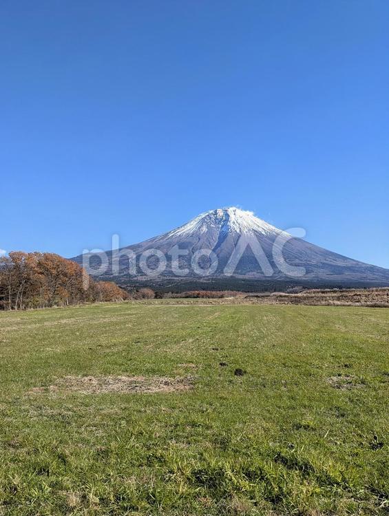 富士宮で眺める初冬の富士 富士山,山,冬の写真素材