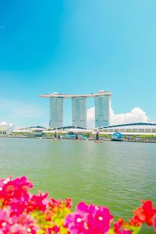 【シンガポール】海とマリーナベイサンズ シンガポール,マリーナベイサンズ,ビルの写真素材