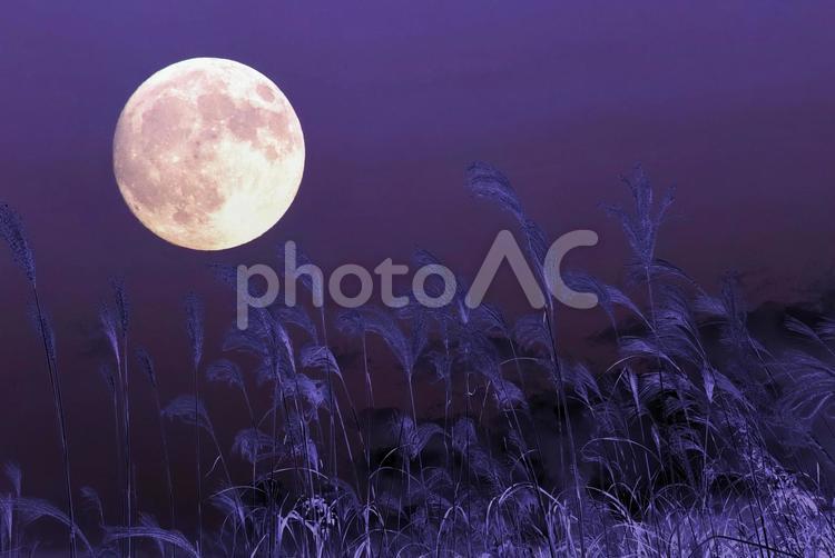秋イメージ素材/中秋の名月・お月見 中秋の名月,十五夜,お月様の写真素材