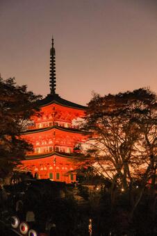 岡寺 岡寺,三重塔,紅葉の写真素材