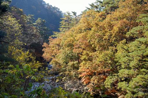 昇仙峡の紅葉と渓谷 昇仙峡の紅葉と渓谷 昇仙峡,渓谷,川の写真素材