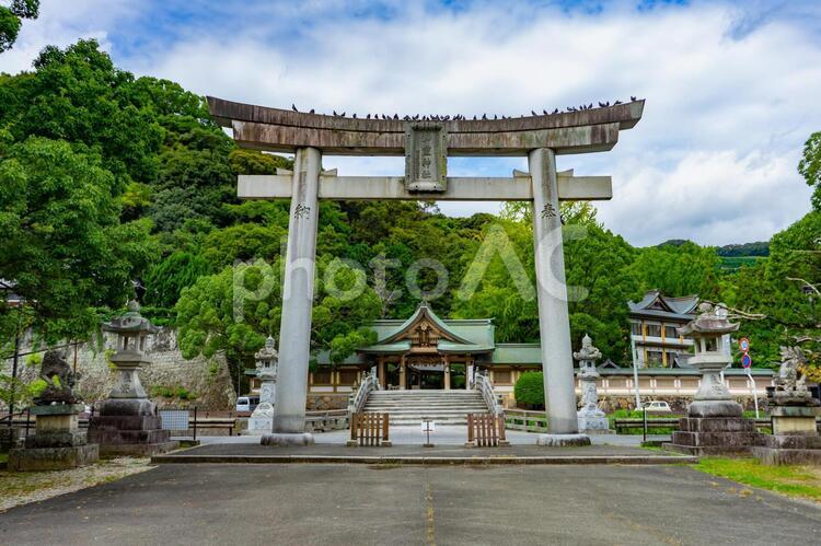 神幸橋（太鼓橋）と和霊神社の大鳥居 神幸橋,太鼓橋,和霊神社の写真素材
