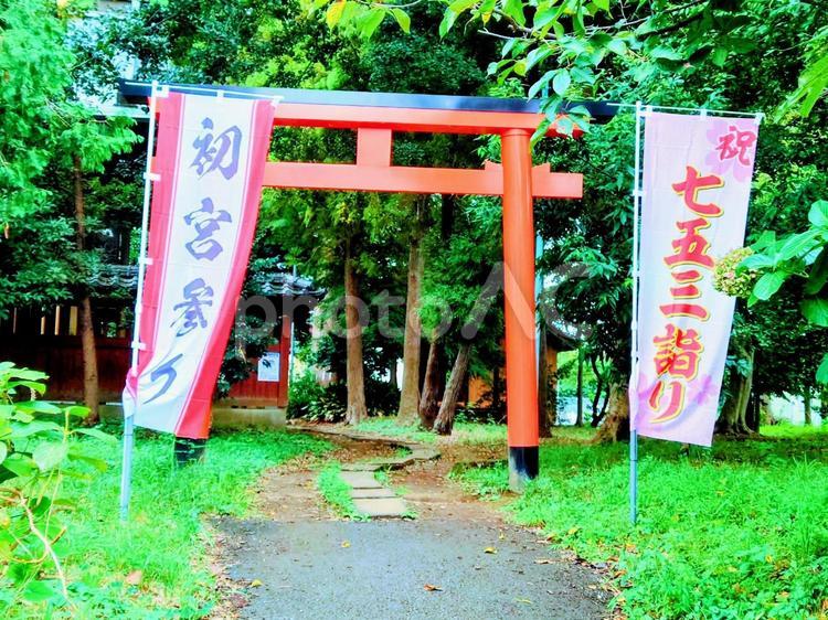 緑に囲まれた田舎の鳥居 田舎,自然,緑の写真素材