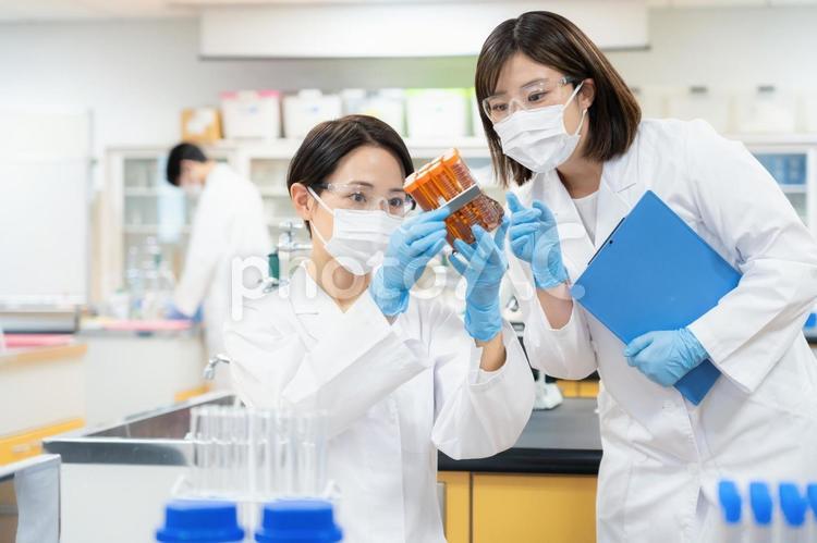 研究所で実験をする研究者 研究,実験,科学の写真素材