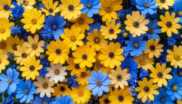 花を寄せ集めた鮮やかな背景写真素材 花を寄せ集めた鮮やかな背景写真素材の写真
