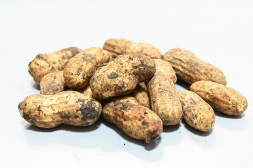 泥のついた 生落花生 新鮮の写真