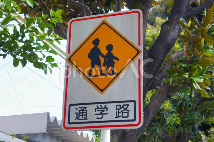 通学路の標識 標識,通学路,学校の写真素材