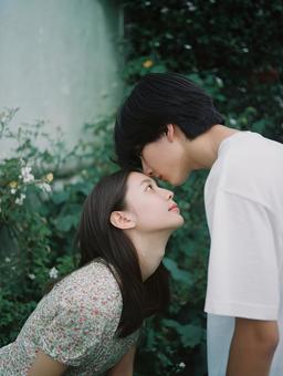緑の中で見つめ合う恋人たち 緑の中で見つめ合う恋人たちの写真