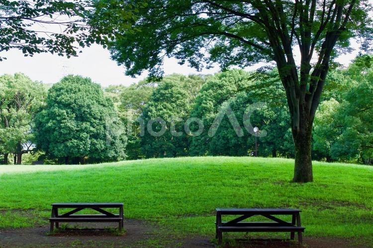 ゆとりを求めて 風景,自然,公園の写真素材