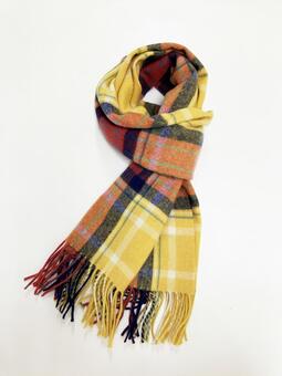 黄色のチェックマフラー マフラー,黄色,タータンチェックの写真素材