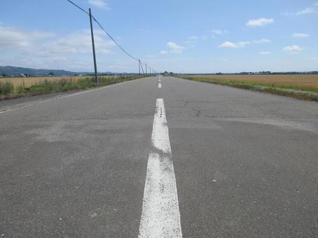 地平線 地平線 地平線,サイクリング,真っ直ぐの写真素材